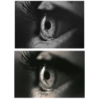 پرتره سیاه قلم ،امضای لوکس خانه شما|تابلو، نقاشی، عکس|کاخک, |دیوار