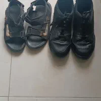 کفش وپوتین|کیف، کفش، کمربند|پردیس, فاز ۴|دیوار