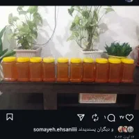 عسل|خوردنی و آشامیدنی|خلجستان, |دیوار