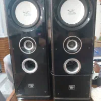 دوعدد باند قوی