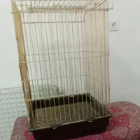 قفس