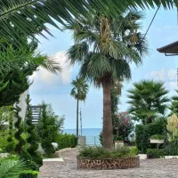 ویلا ساحلی  دریا بیشه تهاتر  با تهران کرج|فروش خانه و ویلا|رویان, |دیوار