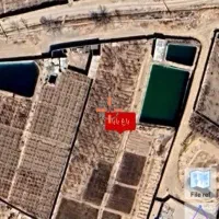 باغ انگور و میوه