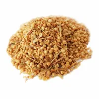 فروش عمده افتیمون
