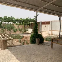 باغ-فروشی