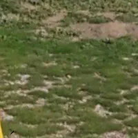 ۲۵۰۰۰هزارمتر زمین کشاورزی دیم