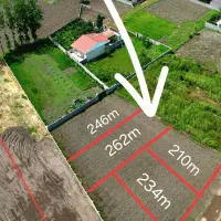 262-متر-زمین-داخل-طرح-شهری-قیمت-کاسبی