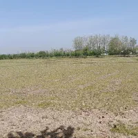 ۳هکتارشالیزار جای بکرروستایی سنگررشت|فروش زمین و ملک کلنگی|سنگر, |دیوار
