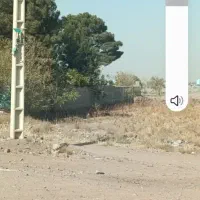 باغ انگوری|فروش زمین و ملک کلنگی|رباط‌کریم, انجم آباد|دیوار