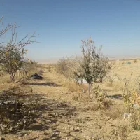 کل زمین ۱۵۰۰متر۱۰دقیقه اب|فروش دفتر صنعتی، کشاورزی، تجاری|خرم بید, |دیوار