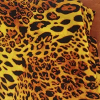 دوعدد پارچه