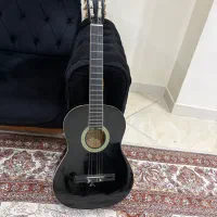گیتار ماکسین