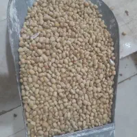 لوبیا چشم بلبلی کنجد لوبیا آش