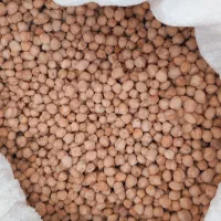 نخود کاشت امسال ب شرط