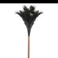 گردگیر بزرگ و نو