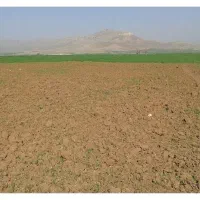 زمین کشاورزی
