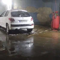 نیروی کارواش
