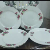 بشقاب گل سرخ قرمز