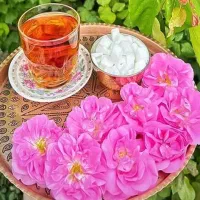 گلاب سنتی|گل و گیاه طبیعی|فیروزآباد (لرستان), |دیوار