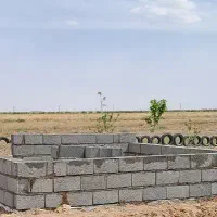 استا شیردل هستم درخدمتم