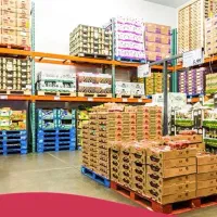 بازاریاب بومی کهنوج