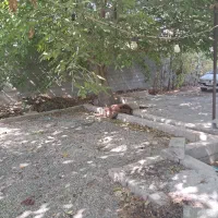 فروش /باغ /فاروق دربهترین لوکیشن|فروش خانه و ویلا|مرودشت, مسجد رسول‎|دیوار