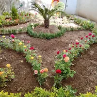 خدمات باغبانی و باغچه کار و تعویض گلدان|خدمات باغبانی و درختکاری|تهران, اختیاریه|دیوار