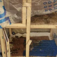 قفس کبوتر مرغ کتونه