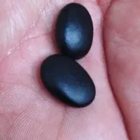 مهره اصل ضمانتی|جواهرات|رامهرمز, |دیوار