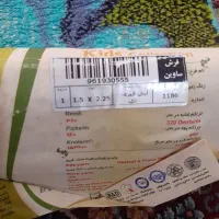 فرش کودک|فرش|شوشتر, |دیوار