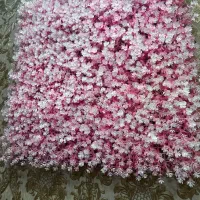 گرین وال