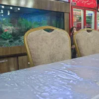 صندوقدار خانم
