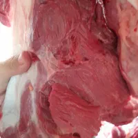 سوپر گوشت رستمی|خوردنی و آشامیدنی|ایوان, |دیوار