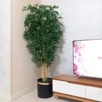 درختچه بلند