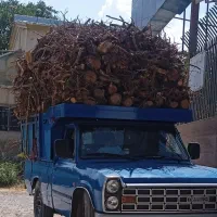 خرید چوب|خدمات باغبانی و درختکاری|ارومیه, |دیوار