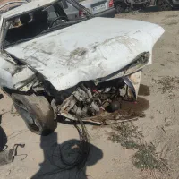 زانتیا چپی ۸۹