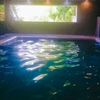 فروش-باغ-ویلا