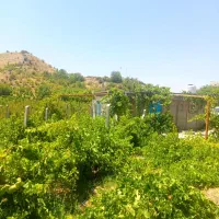 باغ-دارای-اتاق-سی-سخت