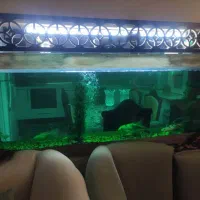 فروش آکواریوم