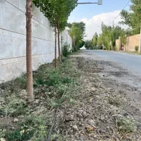 ۵۰۰متر زمین باانشعابات سهیلیه زعفرانیه|فروش زمین و ملک کلنگی|محمدشهر, محمدشهر|دیوار