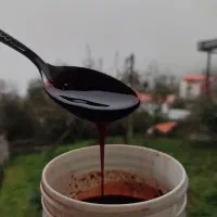 رب ازگل|خوردنی و آشامیدنی|امامزاده عبدالله, |دیوار