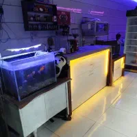 فروش لوازم گیم نت|کنسول، بازی ویدئویی و آنلاین|بیرجند, |دیوار