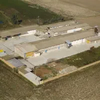 فروش-مرغداری-120-تایی-با-کارخانه-تولید-دان