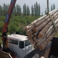 خریدفروش چوب