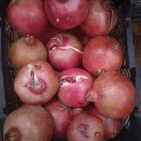 انار کهمره