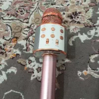 اسپیکر میکروفونی