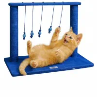 اسکرچر گربه/ خونه گربه