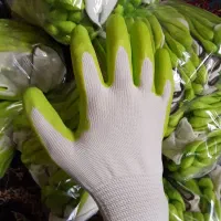 دستکش کار|لباس|زنجان, |دیوار