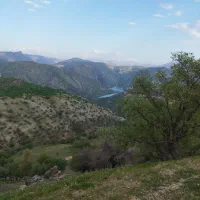 زمین نقلی آینده دار