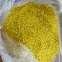 کشک زرد
